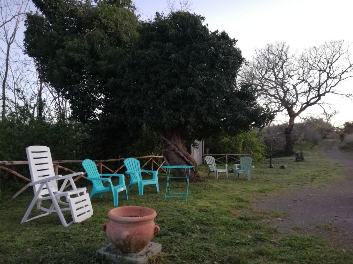 Casale di campagna Villa Montefiascone Esterno foto