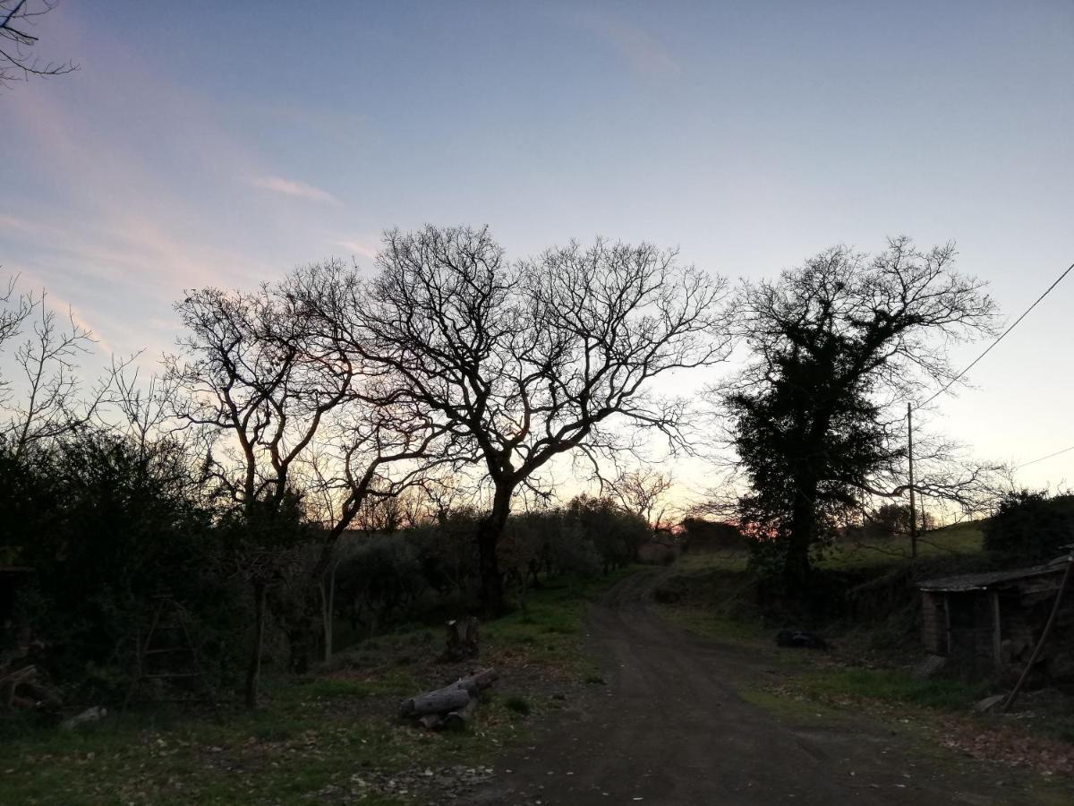 Casale di campagna Villa Montefiascone Esterno foto